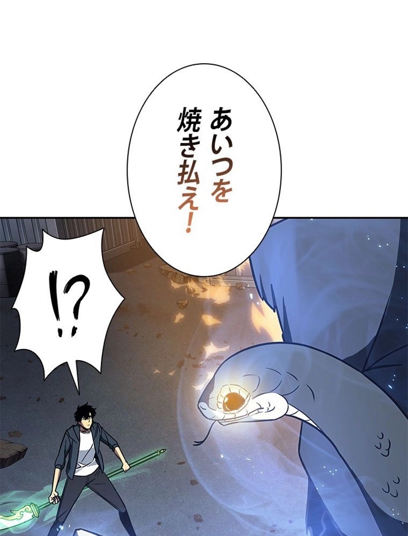 P66