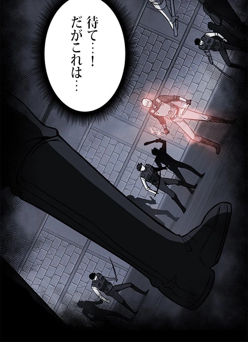 P63