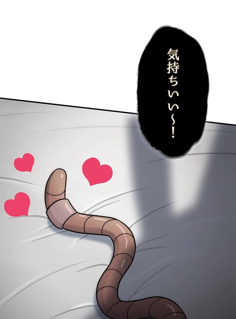 P58