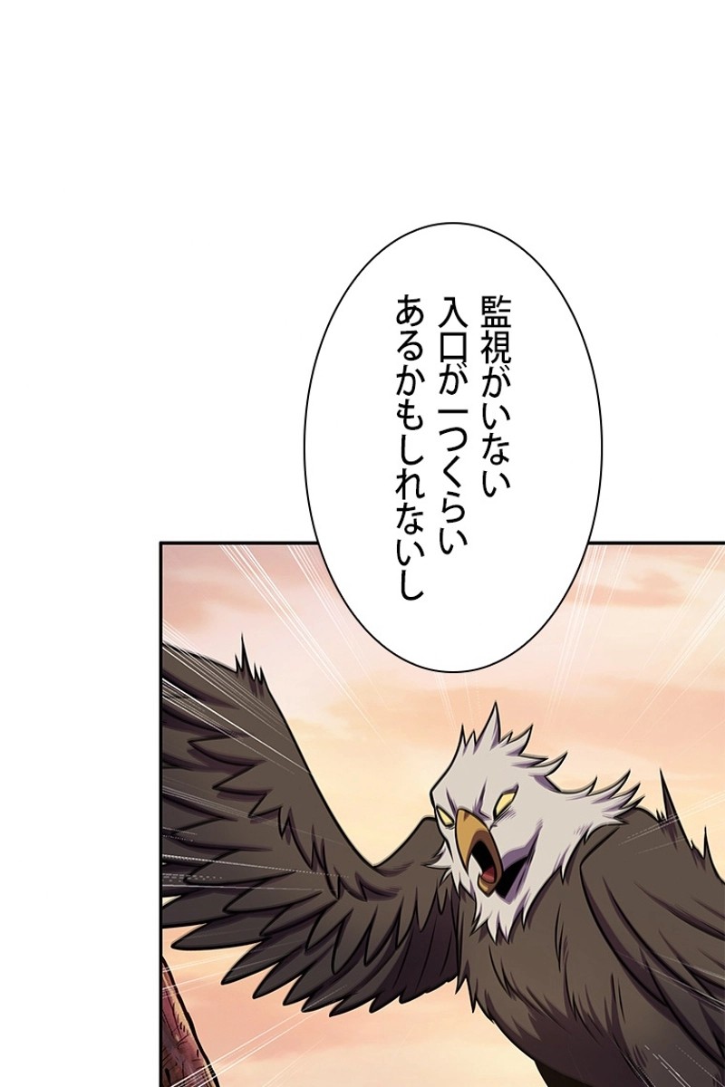 P66