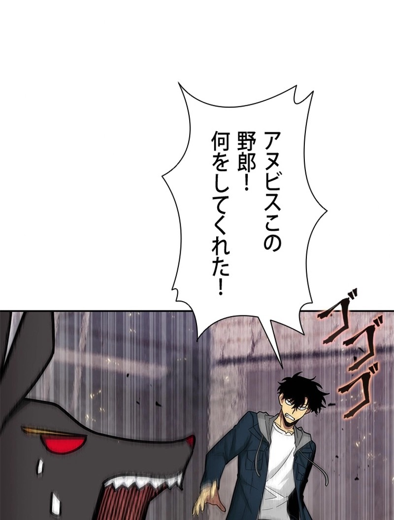 P66