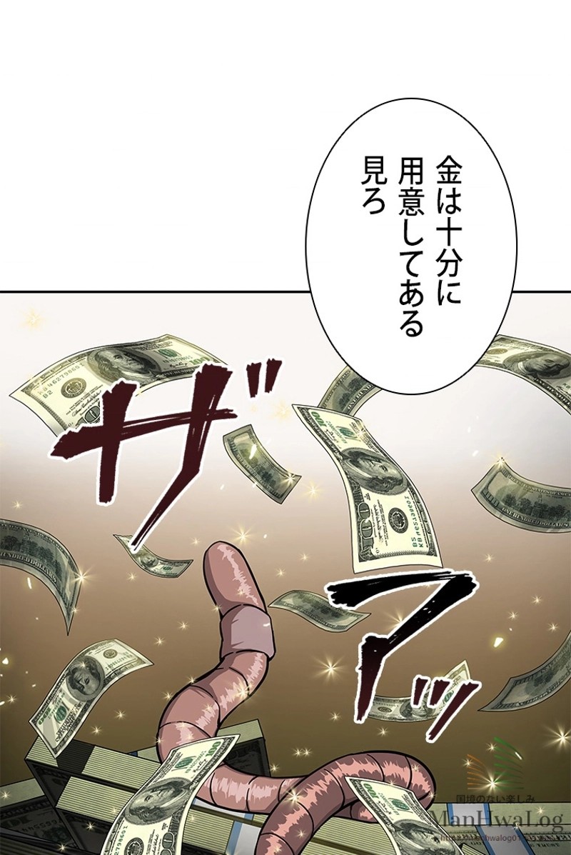P53