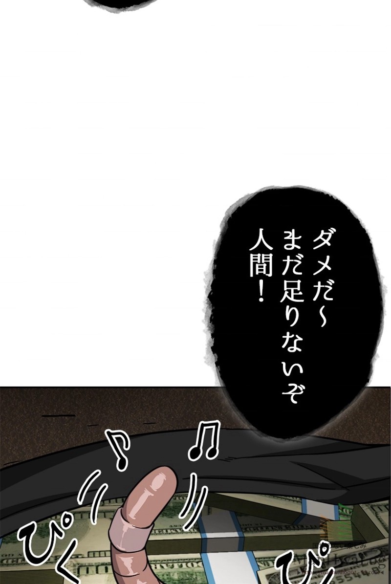 P58