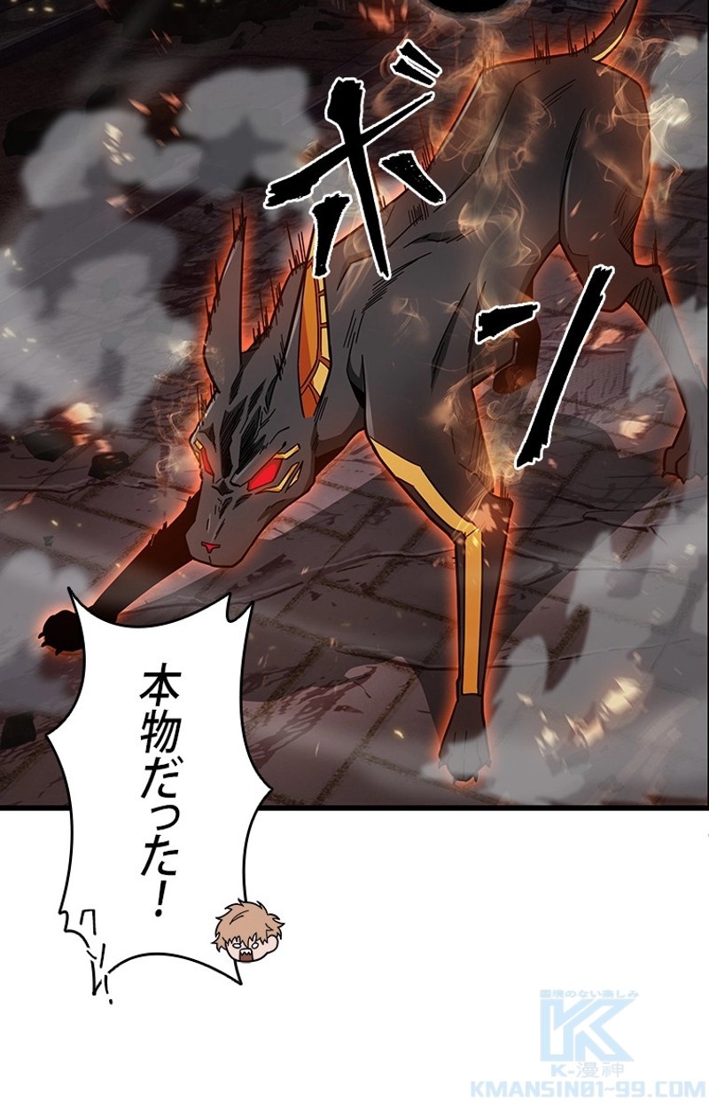 P118