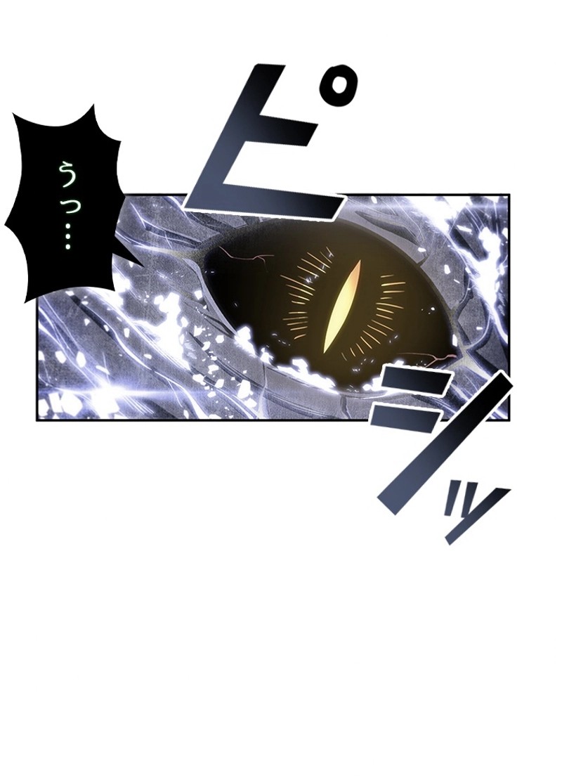 P48