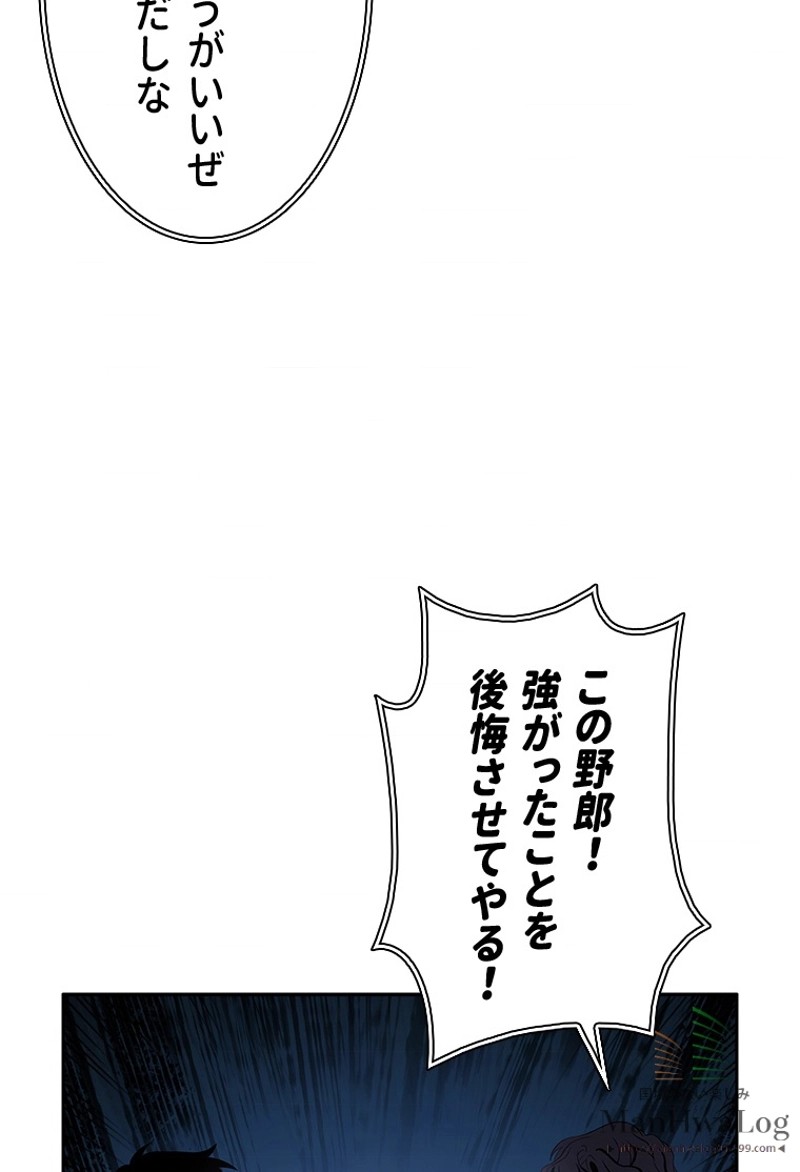 P58
