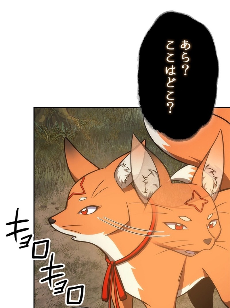 P64
