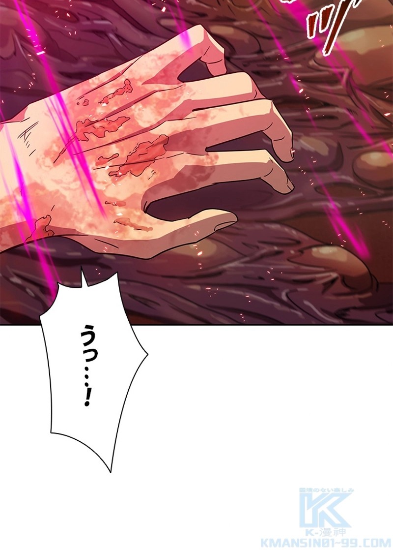 P113