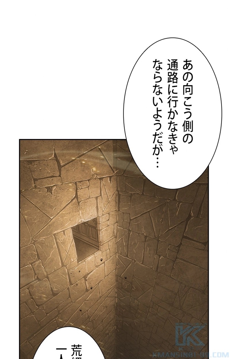 P53