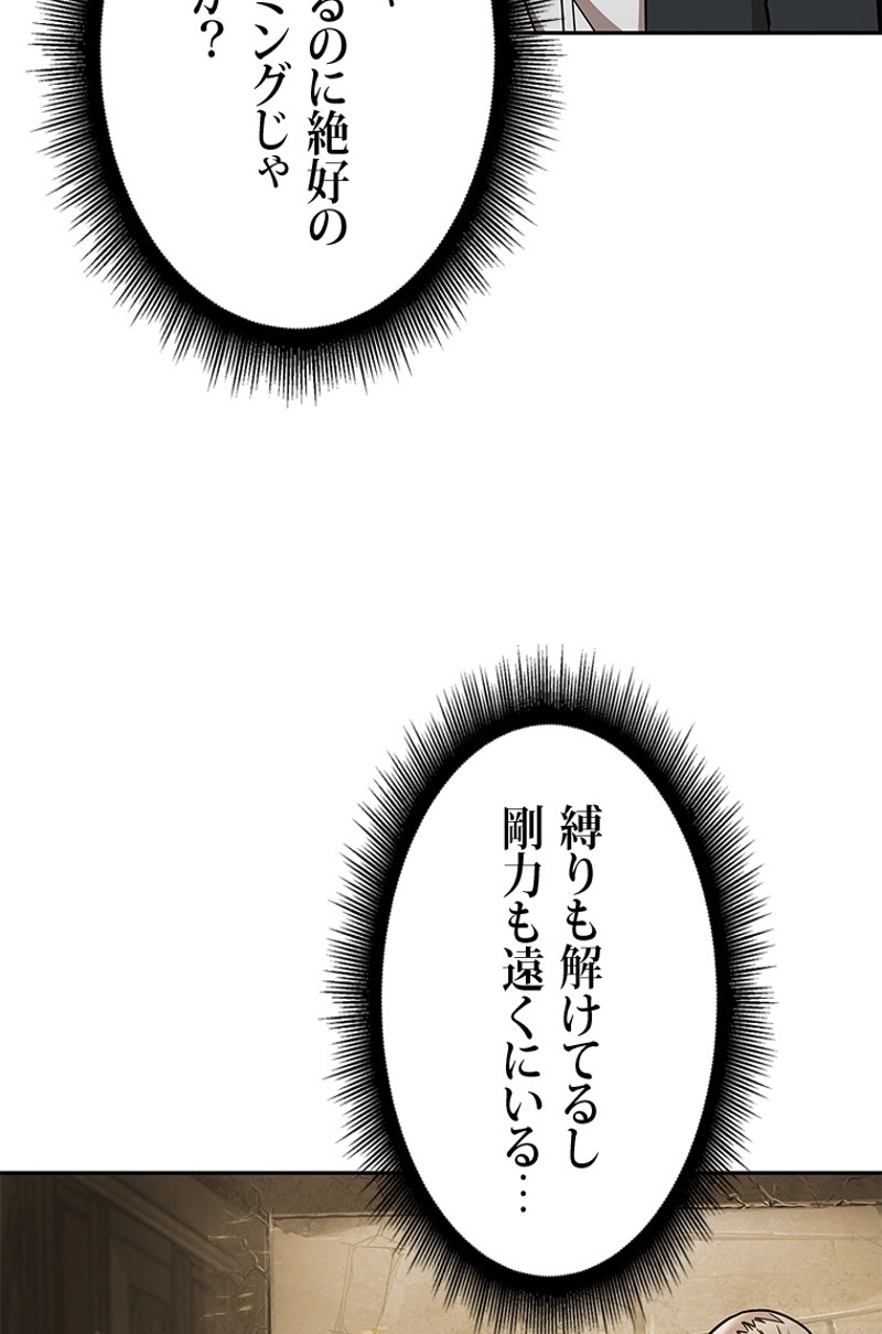 P66