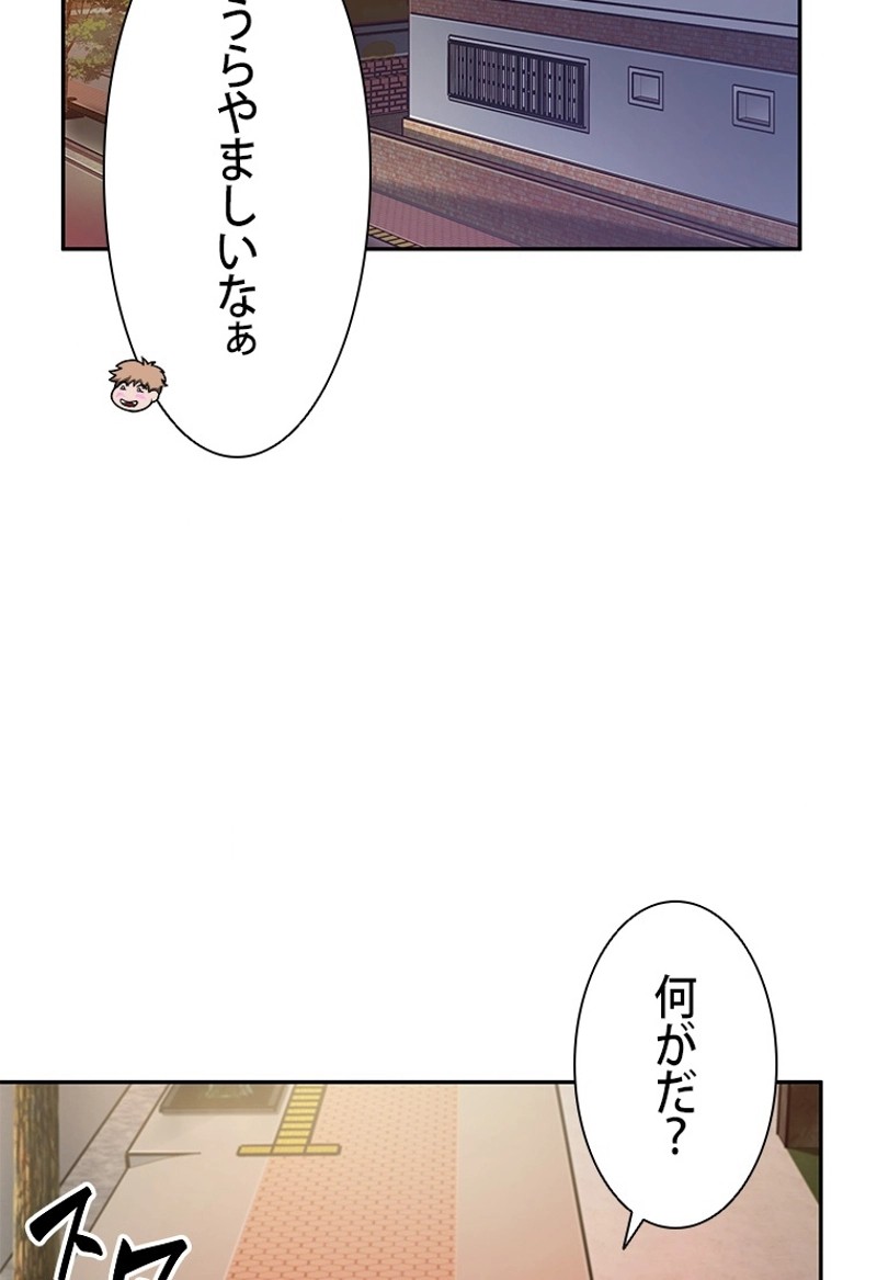P66