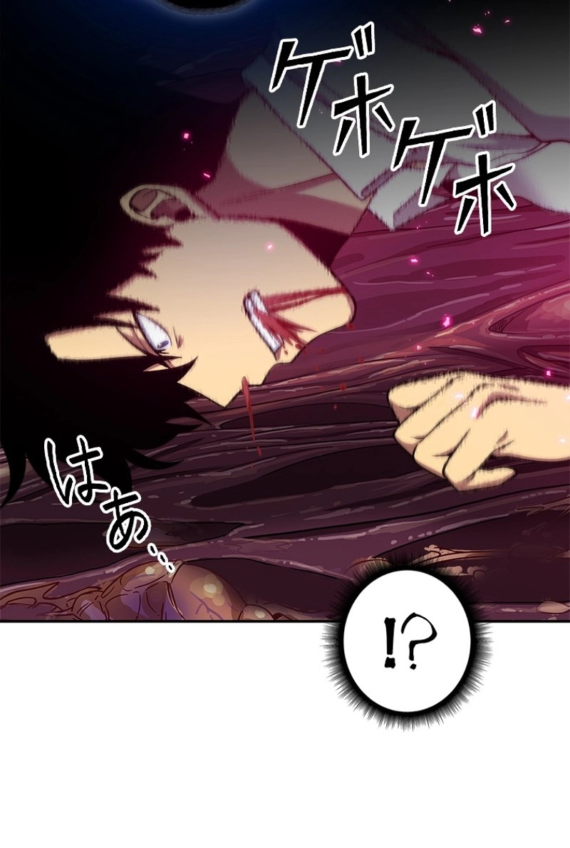 P63
