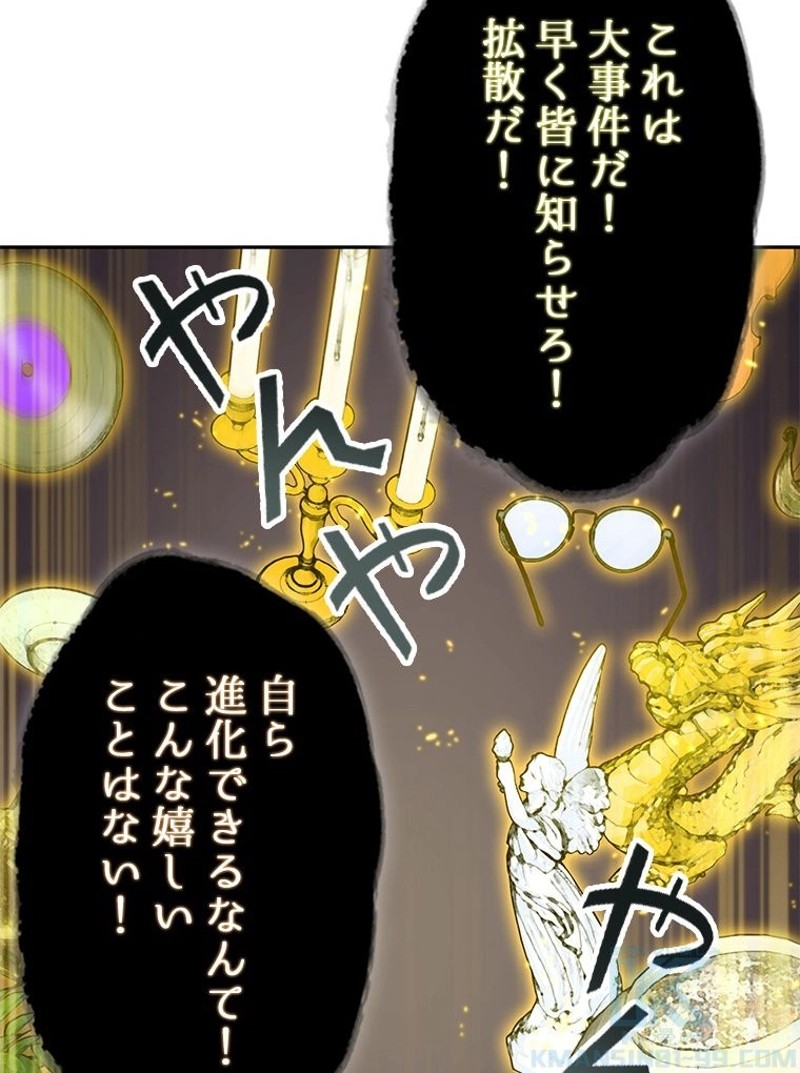 P41