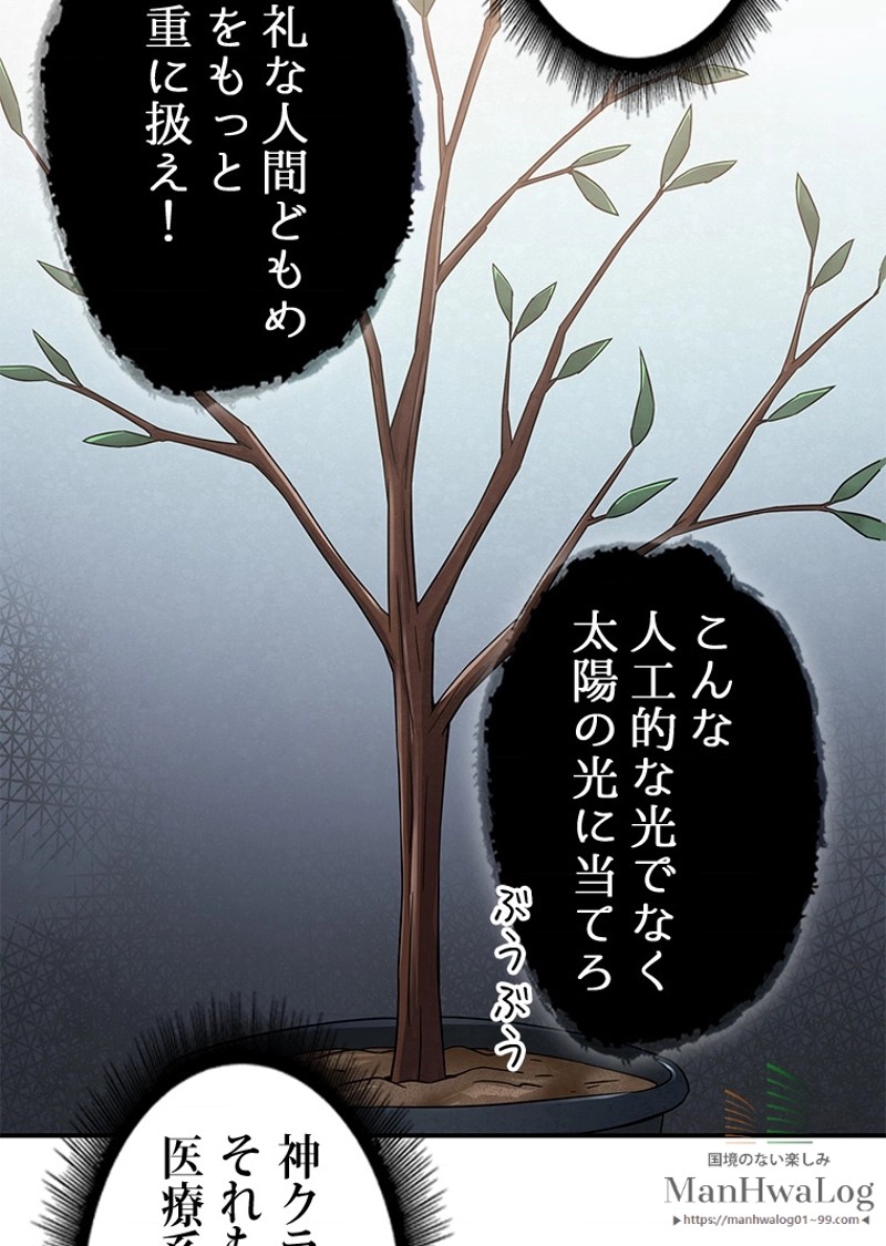 P81