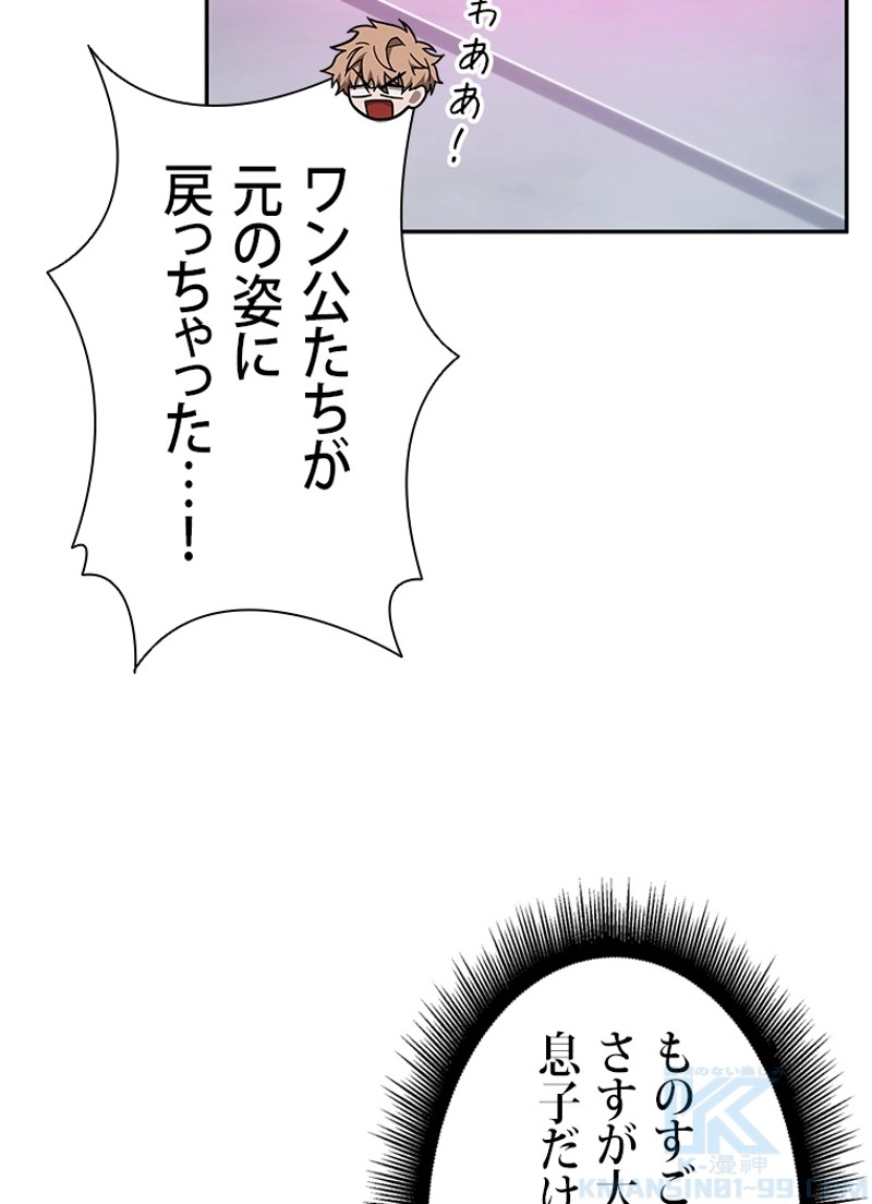 P62