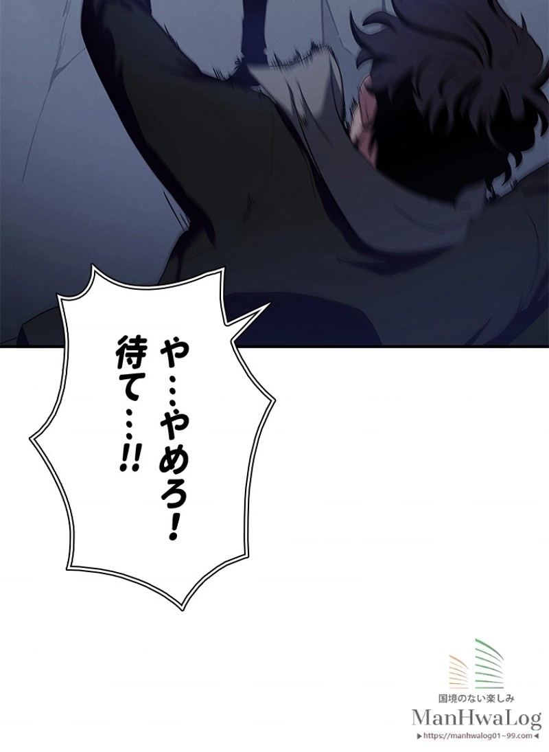 P113