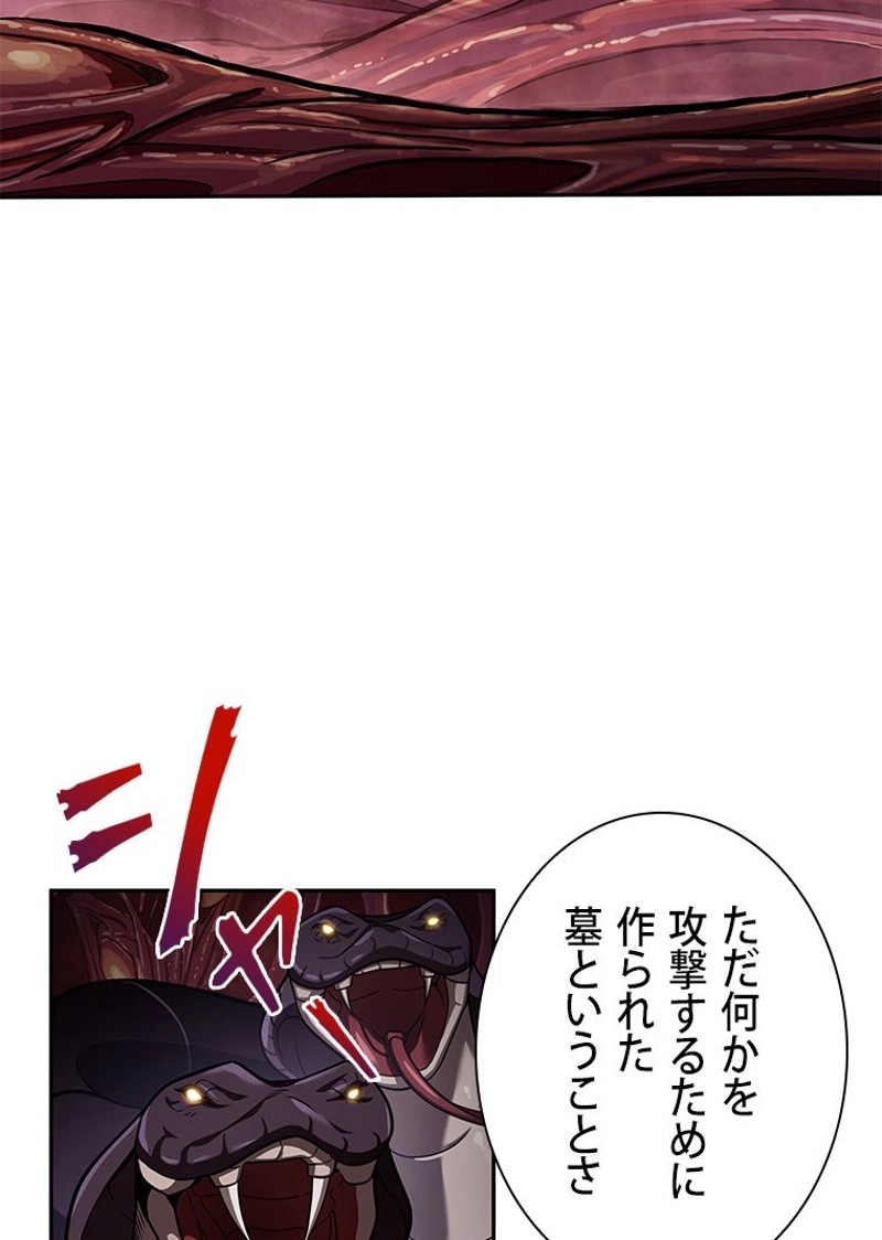 P53