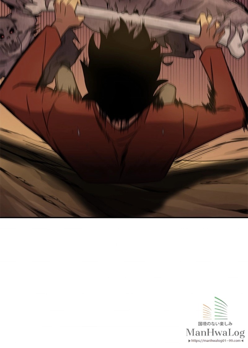 P113