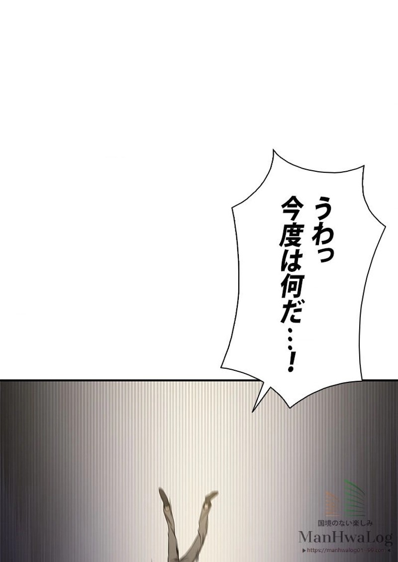 P53