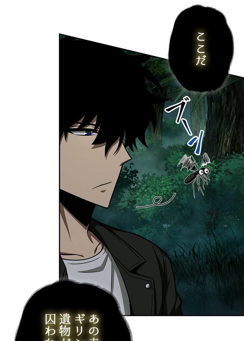 P53
