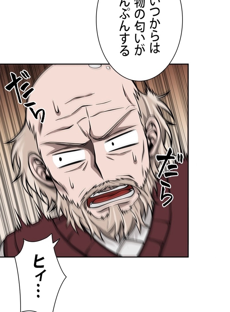 P66