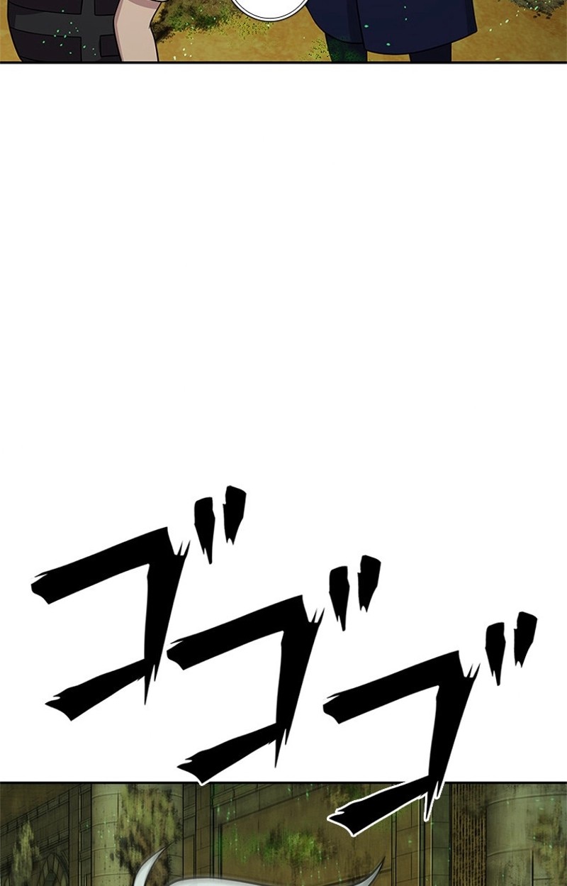 P61