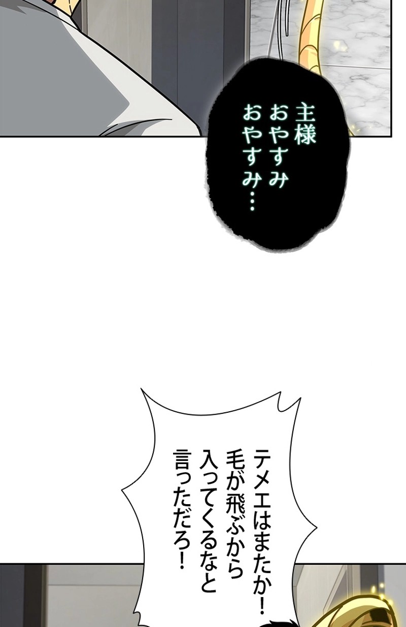 P48