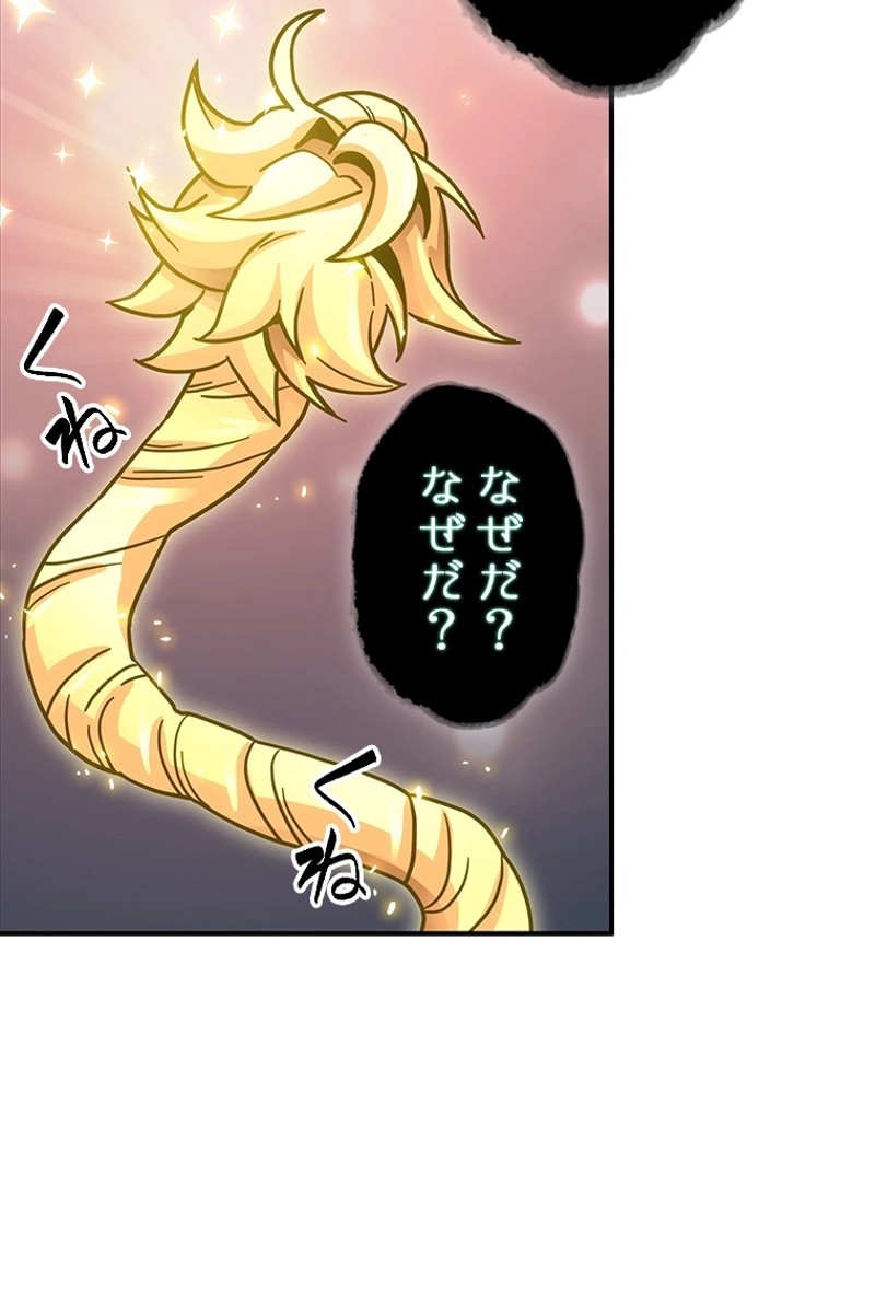 P58