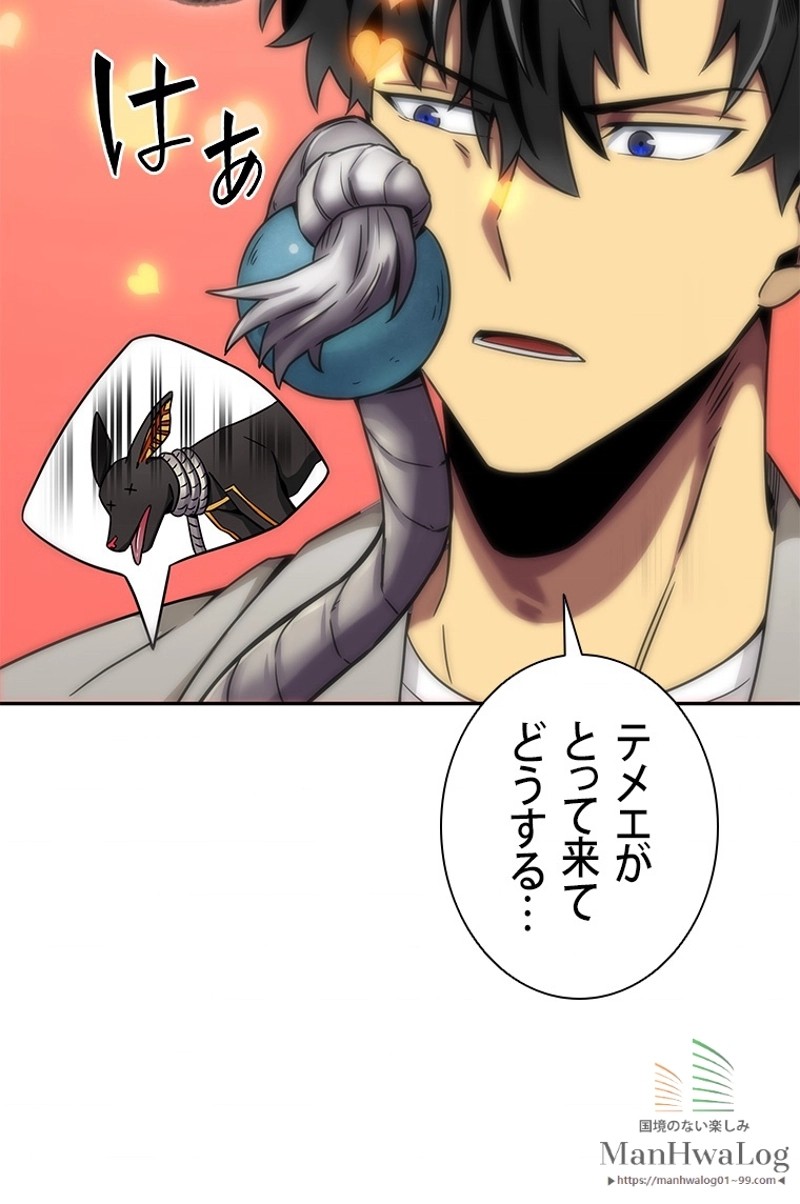 P43