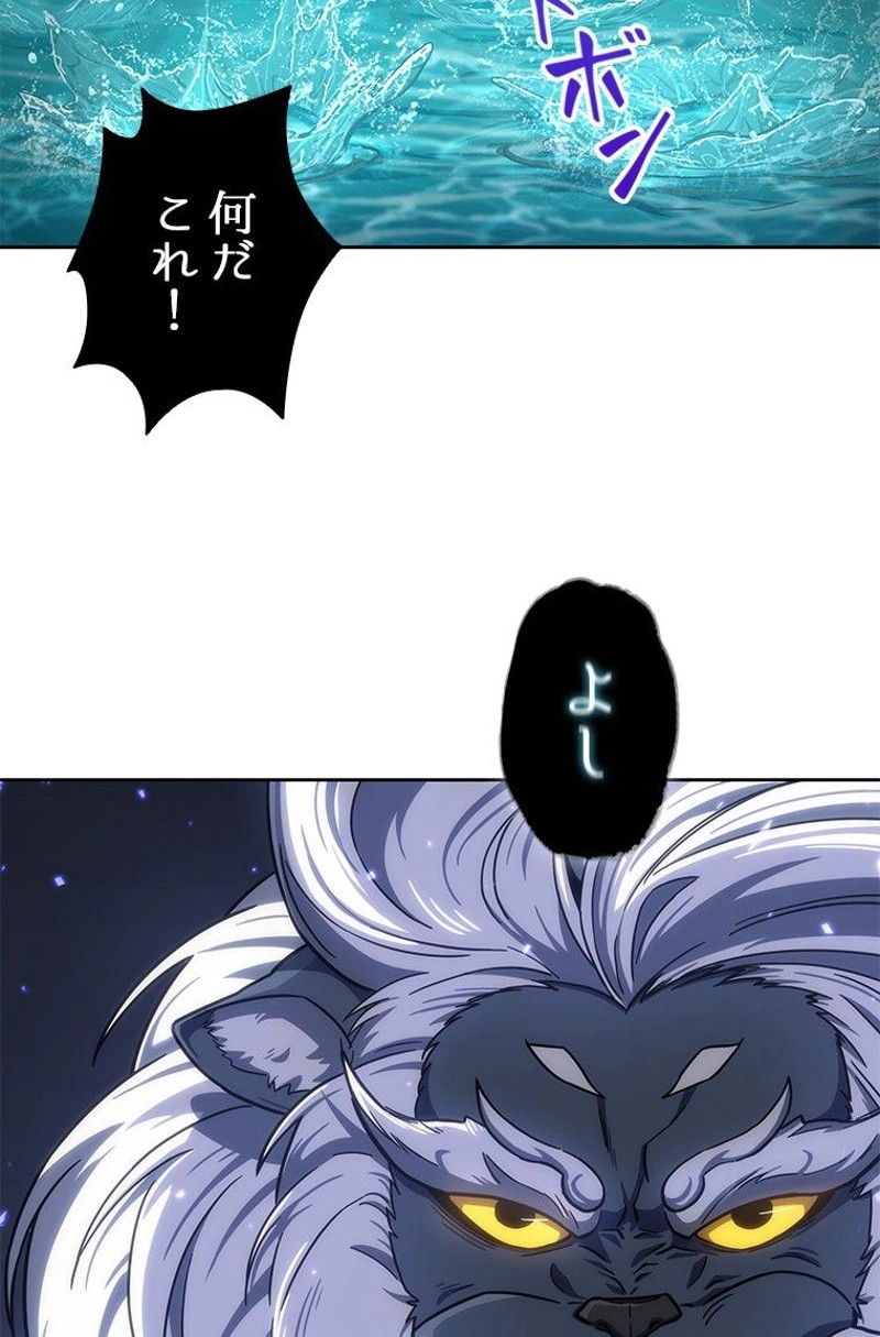 P46