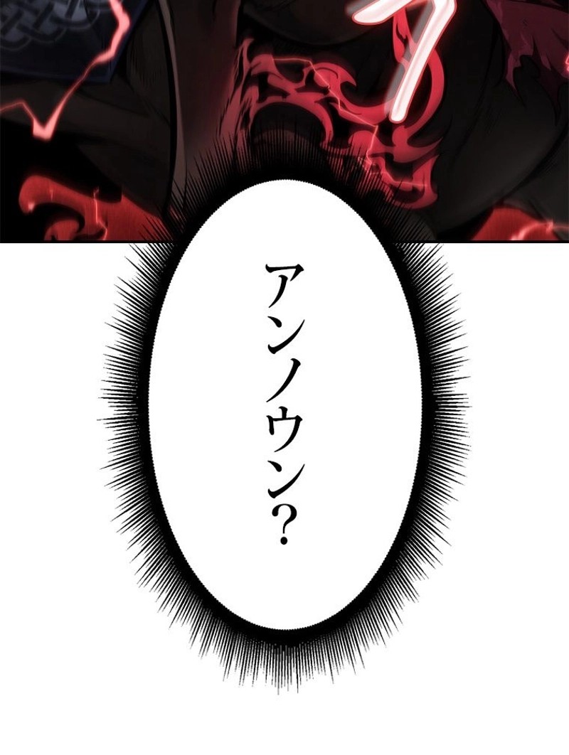 P113
