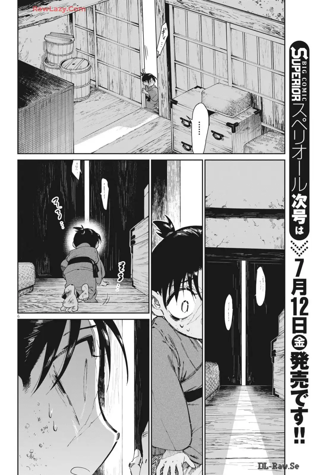 P6