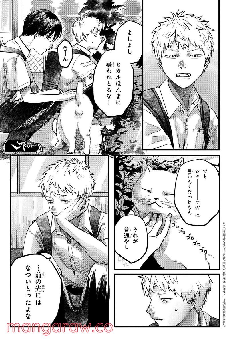 P3