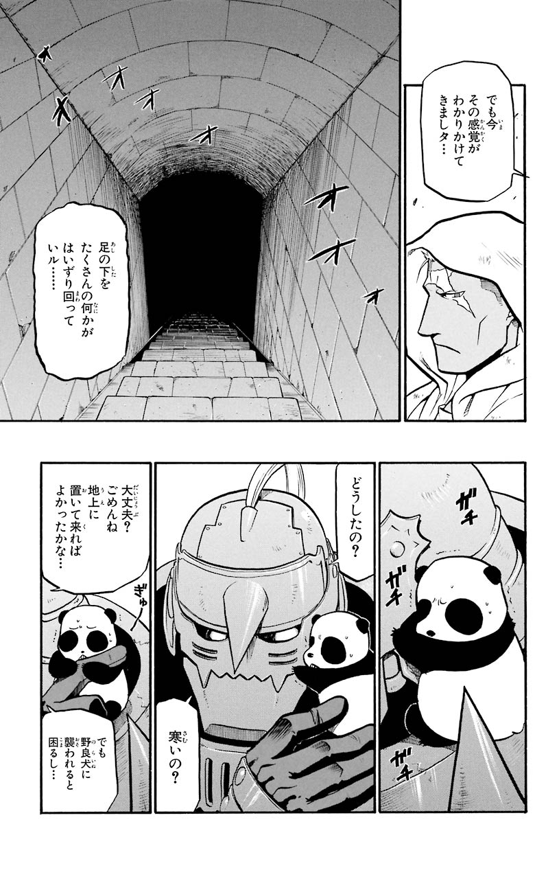 P29