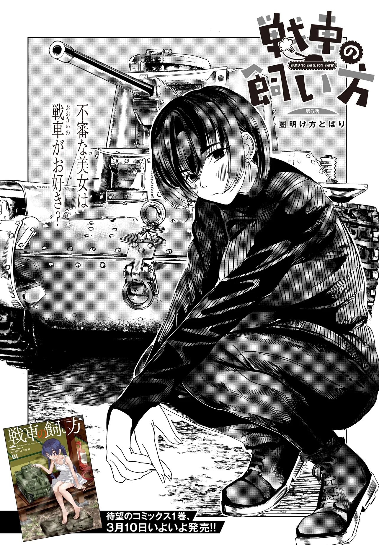 P6