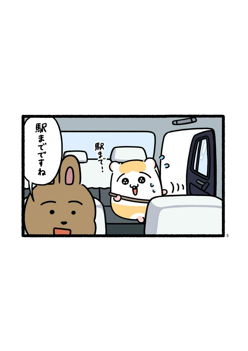P3