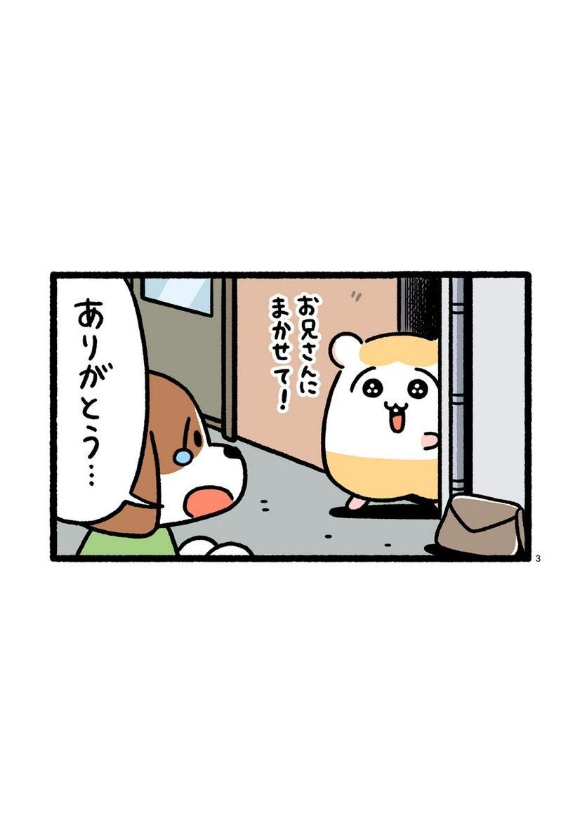 P3