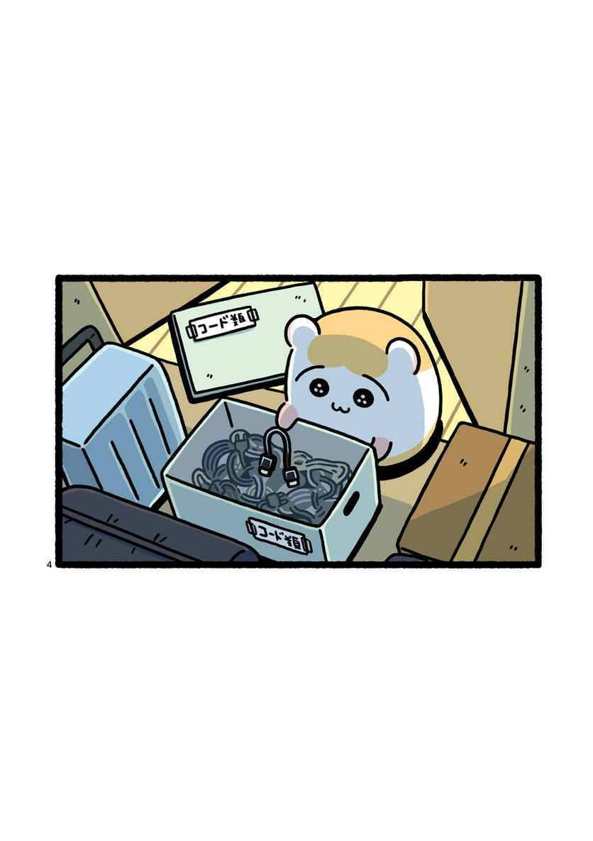 P4