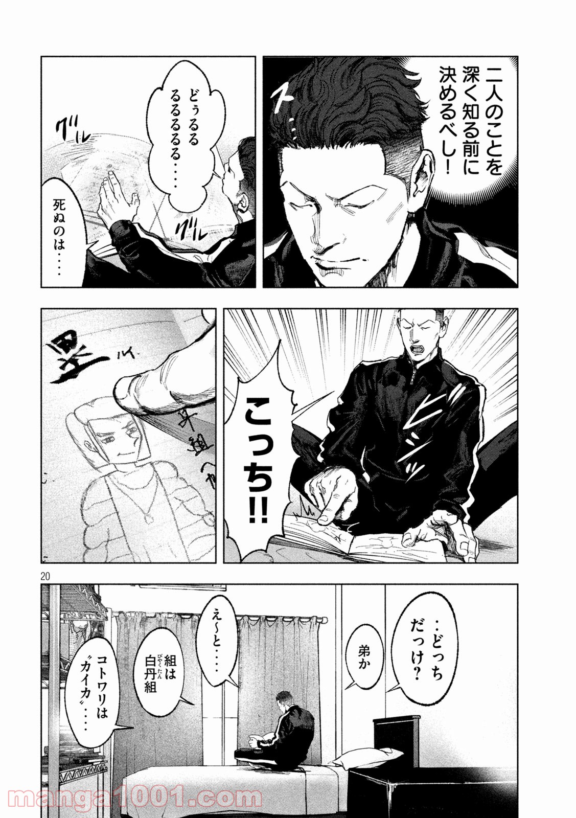 P20