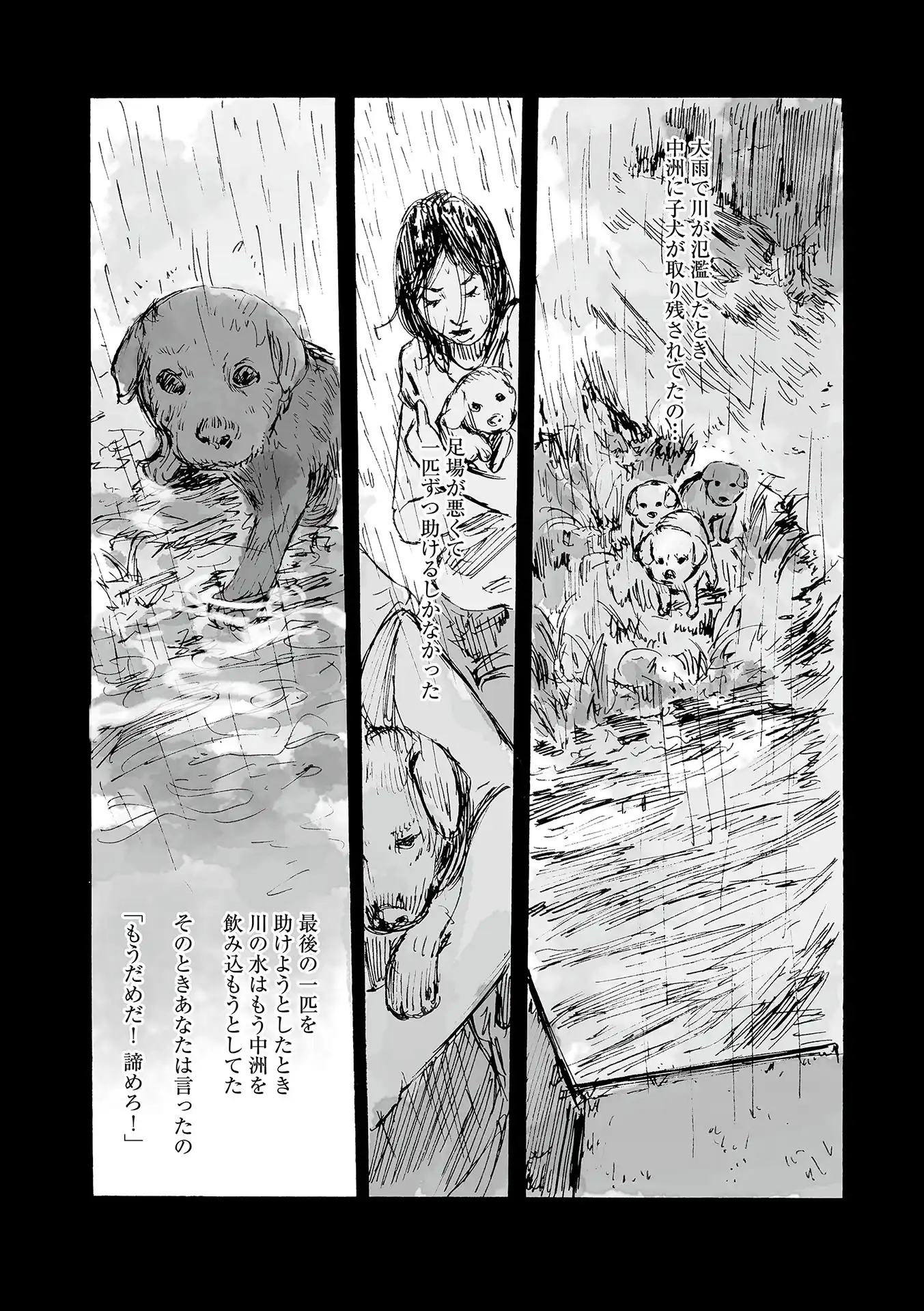 P29