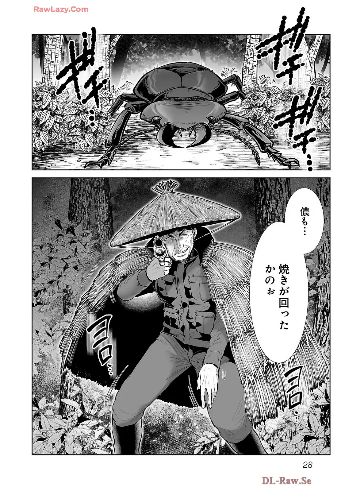P26