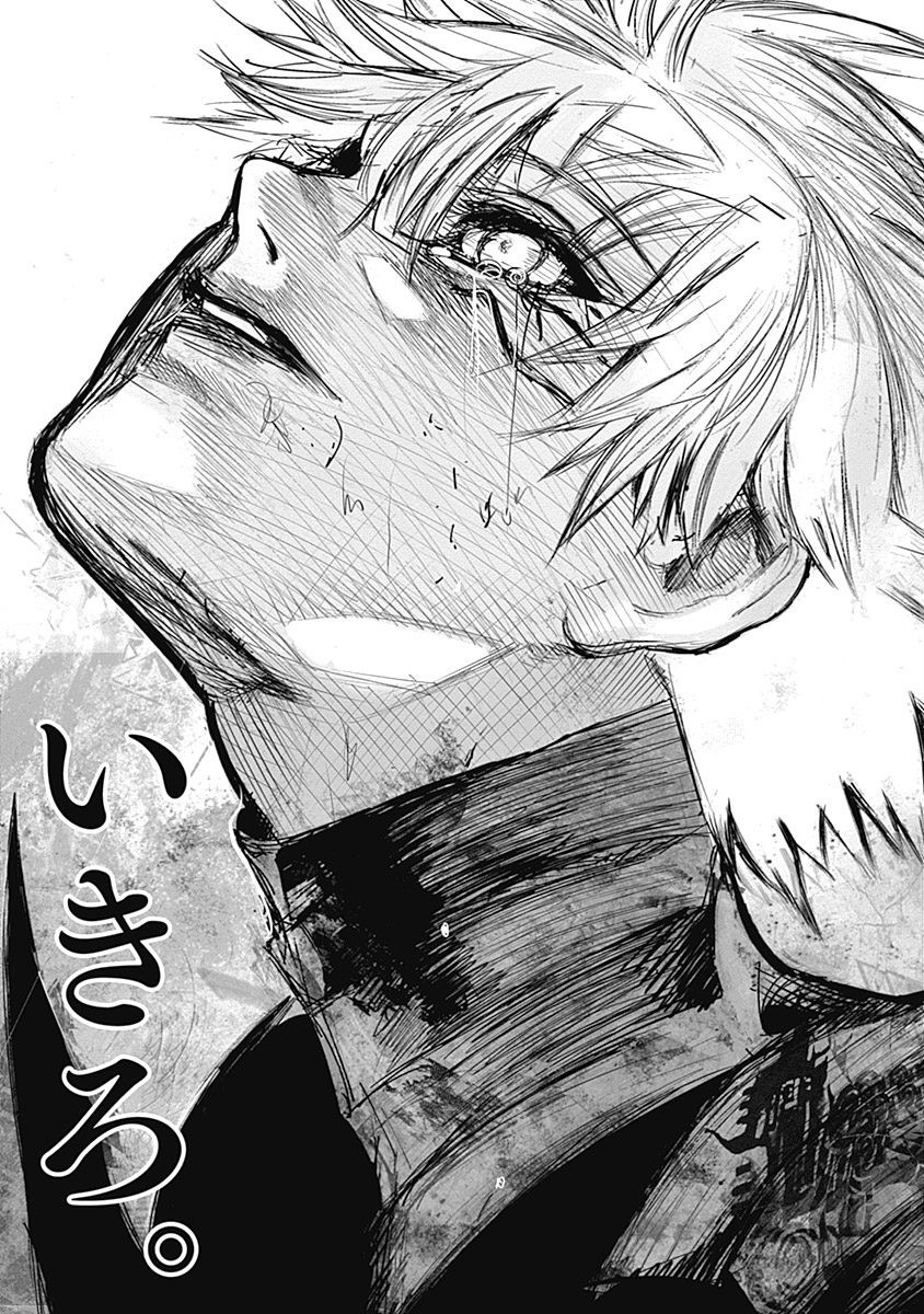 P234