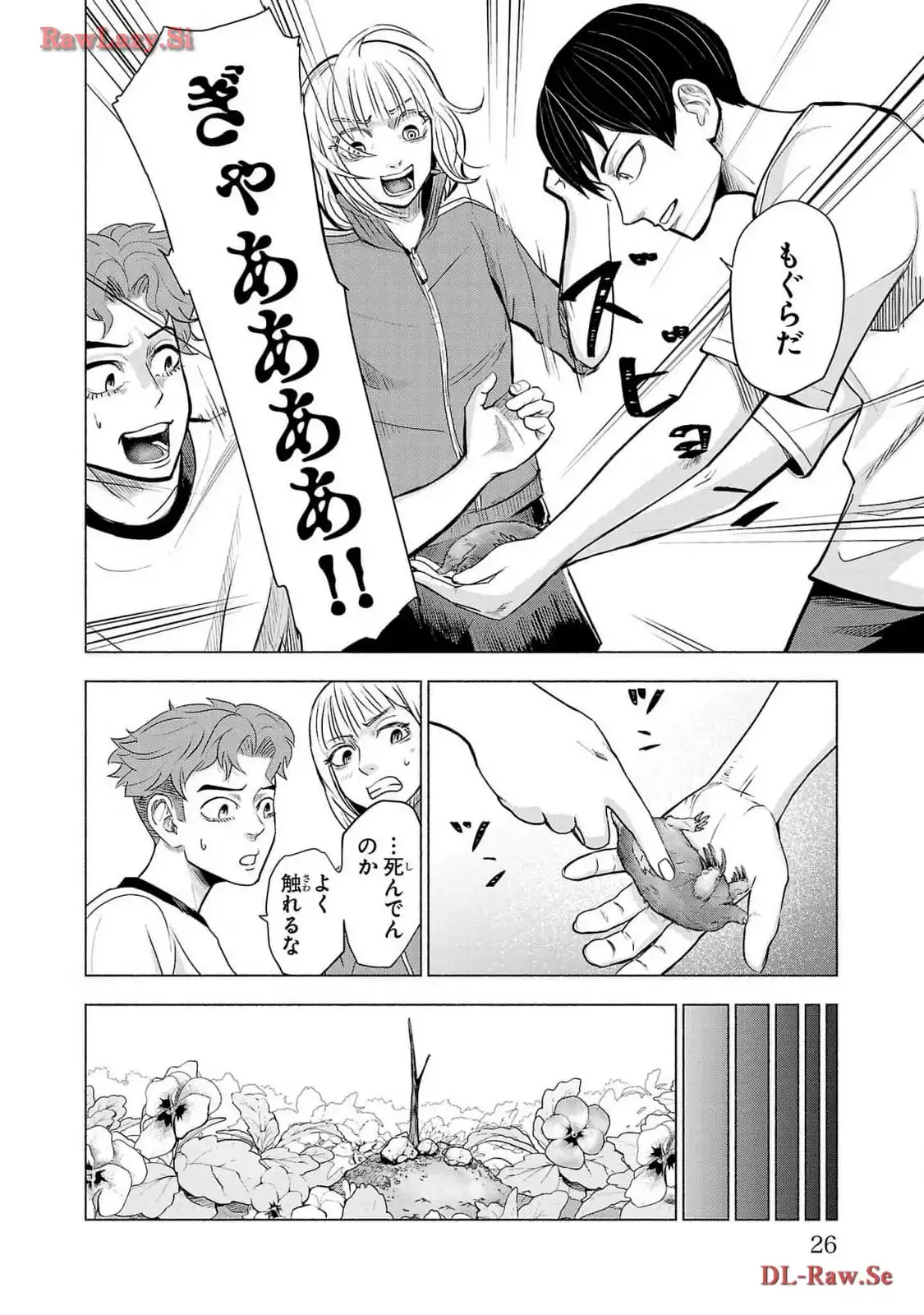 P20
