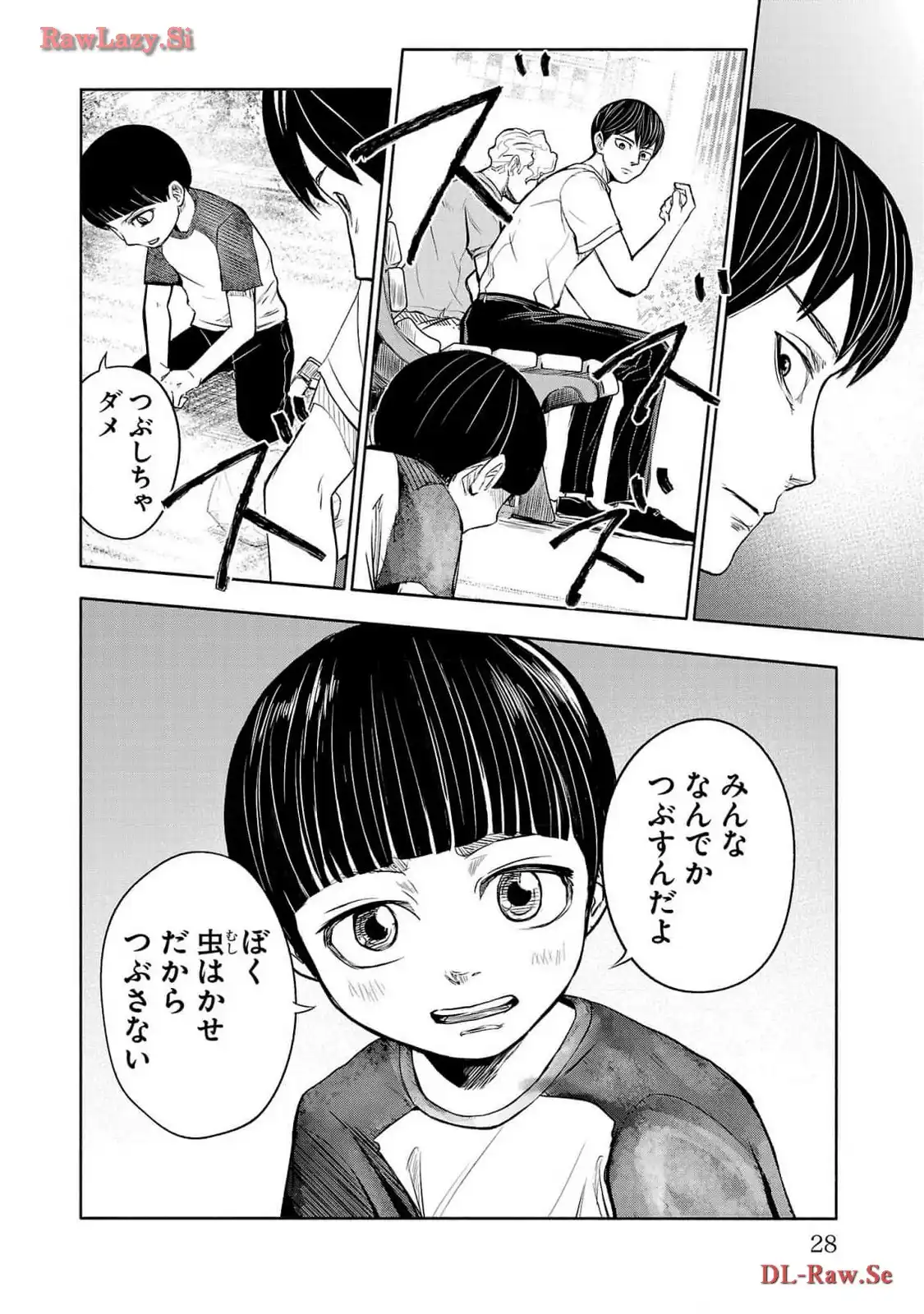 P26