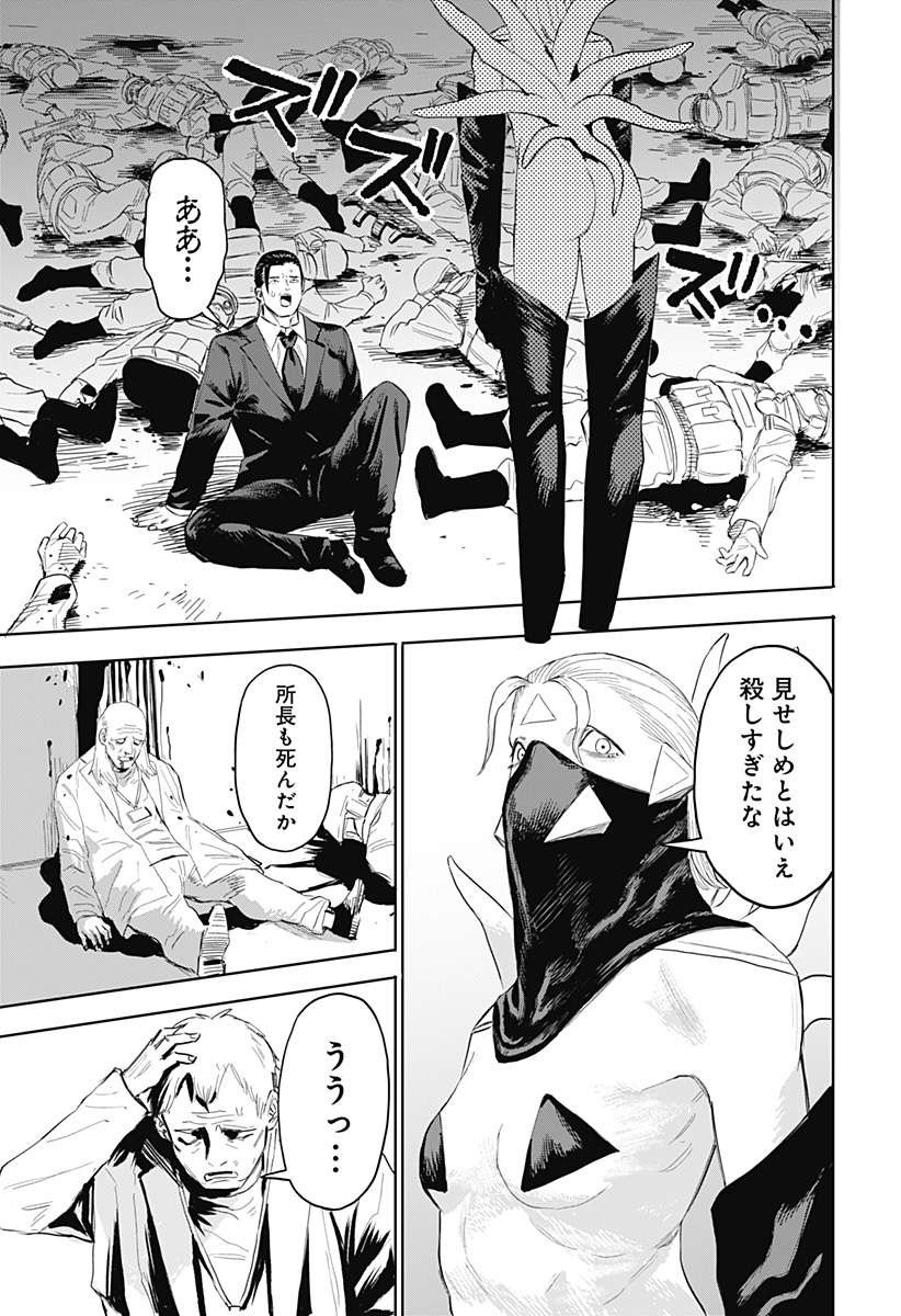 P23