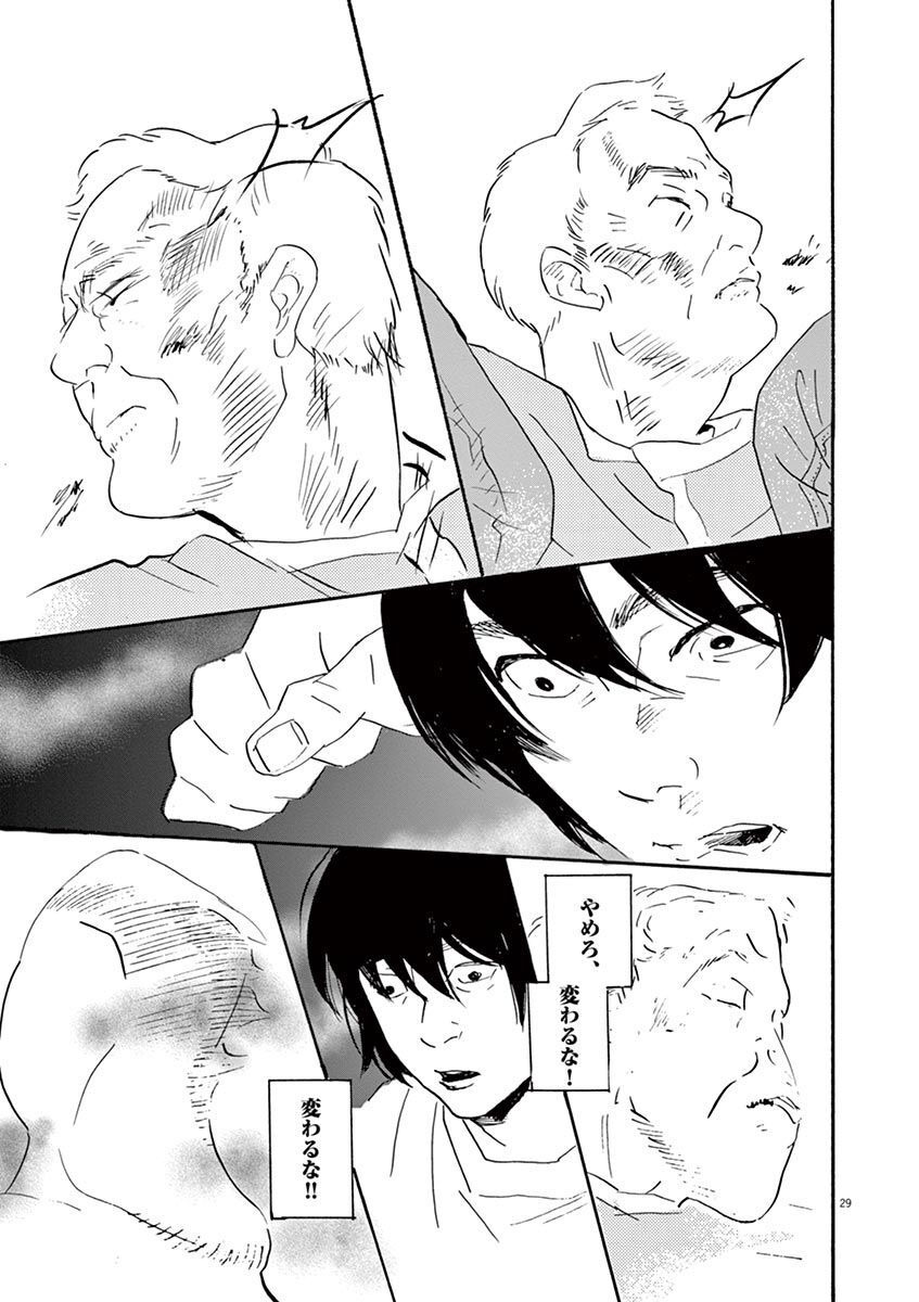 P29