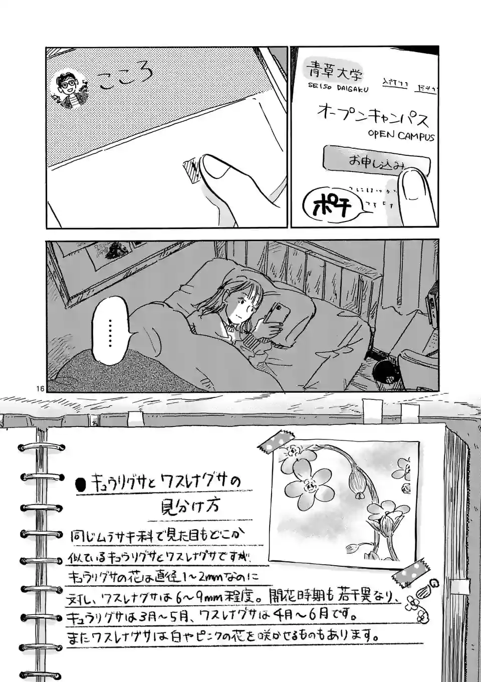 P16