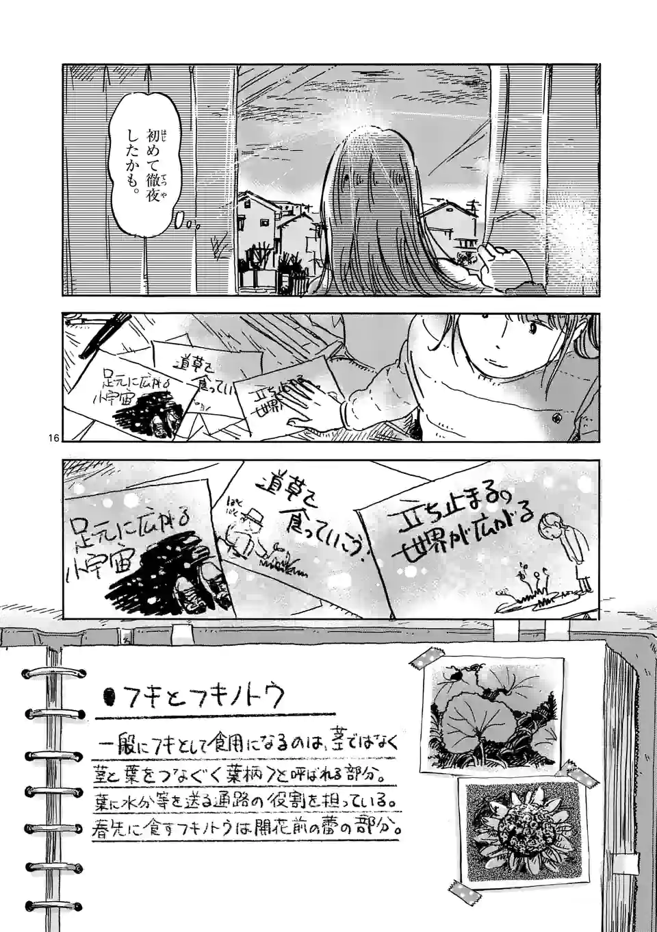 P16