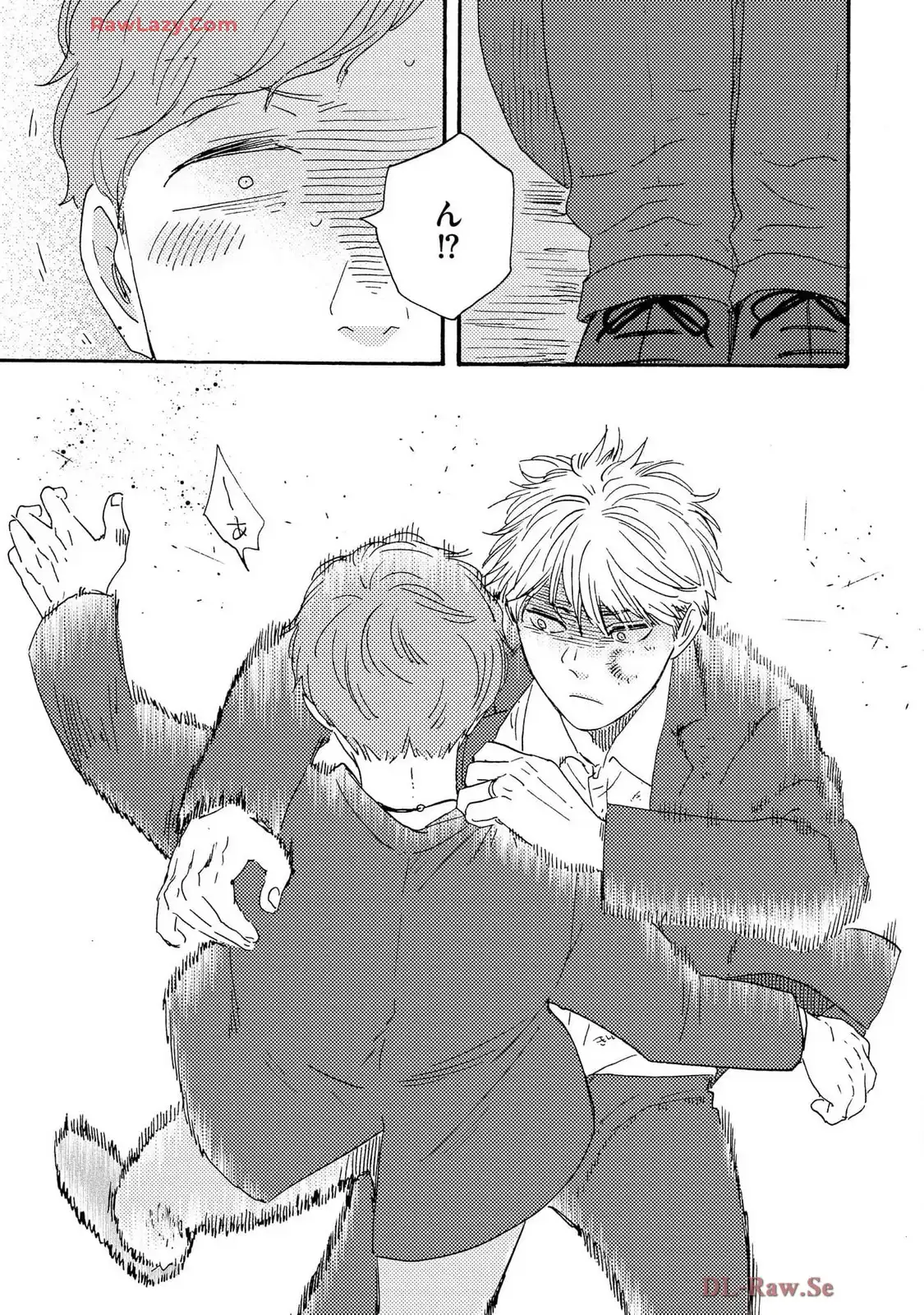 P29