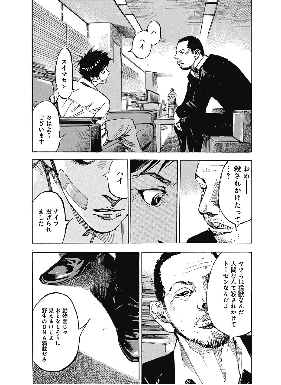 P6